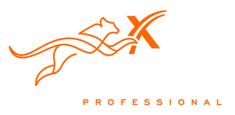 Xceed  Professional
